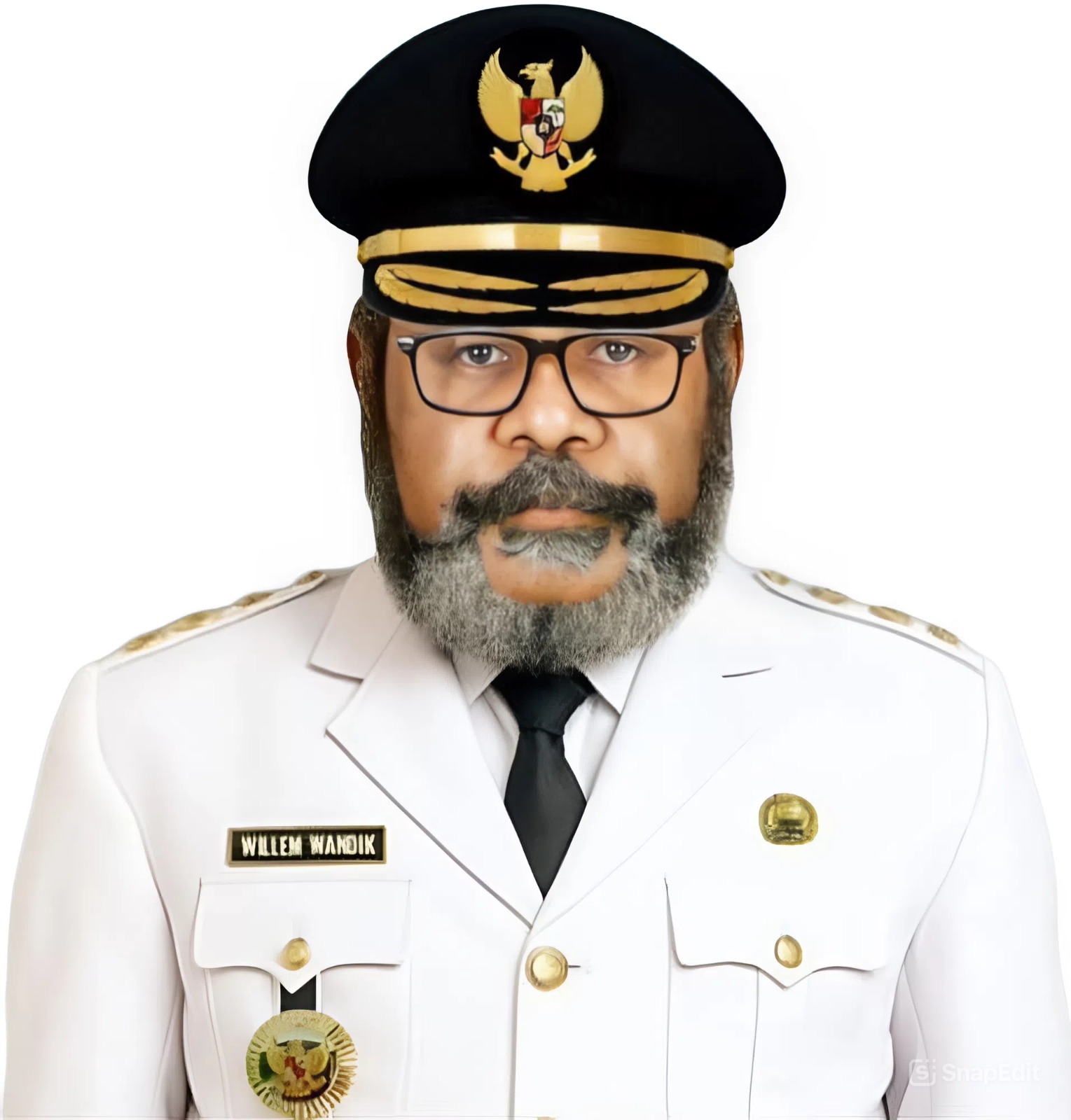 Willem Wandik, S.Sos